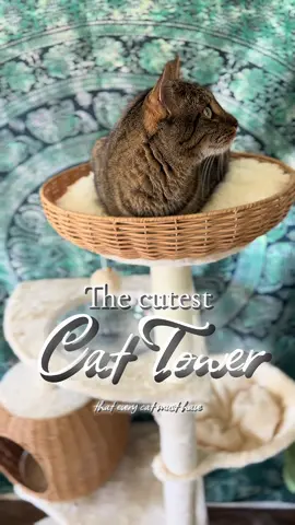 My cat’s favorite cat tower and a must have for all cat owners. @Yaheetech Shop #yaheetech #yaheetechcattree #catmusthaves #catfinds #favoritecatfinds 