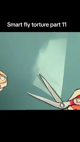 Smart fly torture part 11 ALL CREDIT GOES TO OFF WORLD FILMS #fly #viral #fyp #viralvideo 