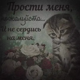 прости #fyp #щп #щитпост 