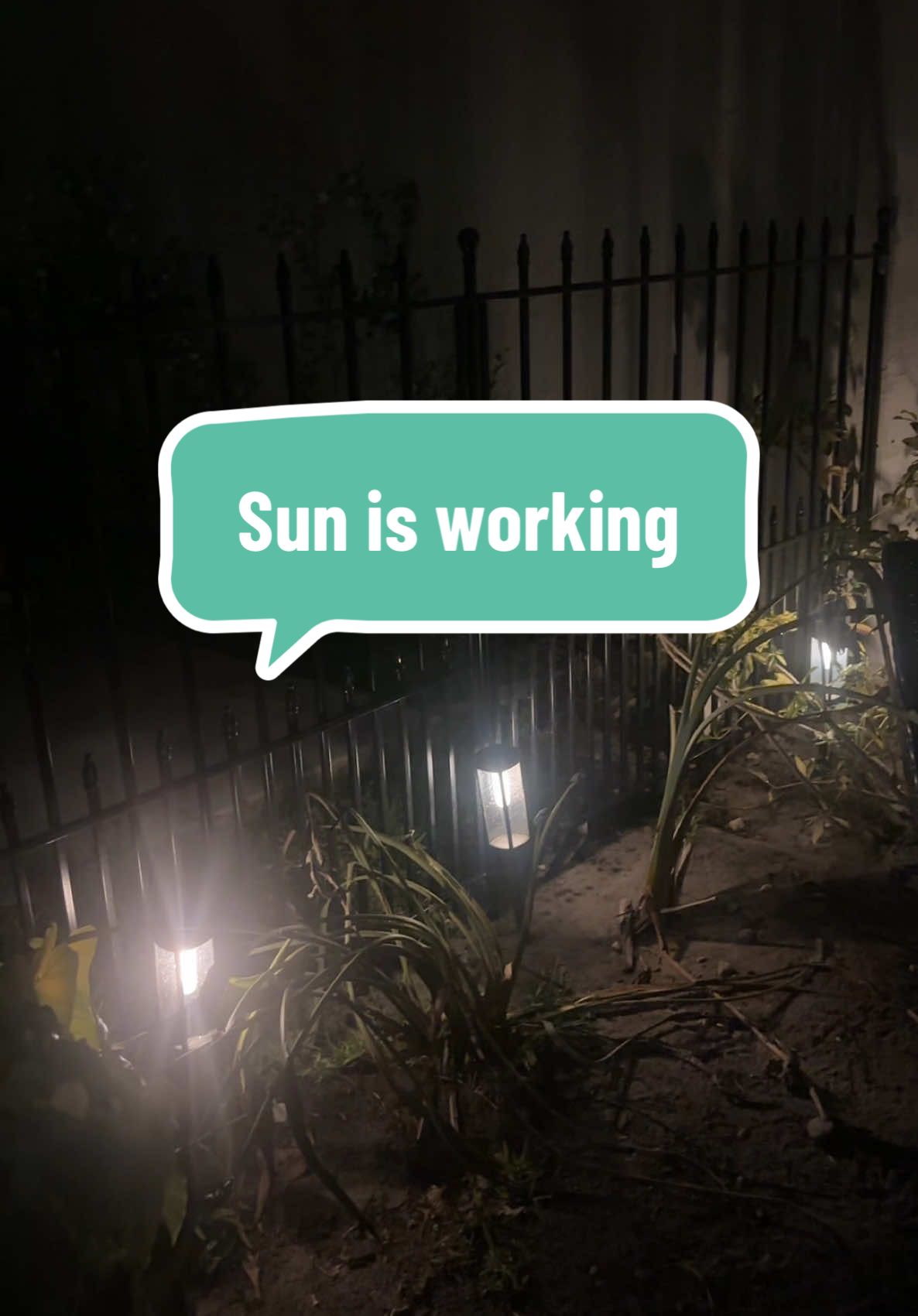 ✨ Light up your nights with this 8-pack of solar lights! 🌙☀️ I’ve bought from this company before and they never disappoint—super easy to set up, no wires, no hassle. They charge by day, shine bright by night, and add the perfect glow to walkways, gardens, and patios. Energy-saving ✅ Weather-resistant ✅ Long-lasting ✅. Such a simple upgrade that makes a huge difference outside! 🌿💡 #SolarLights #OutdoorLiving #GardenGlow #EcoFriendlyLighting #SolarPowered #BackyardVibes #PatioGoals #EasyUpgrade #HomeAndGarden #SustainableStyle