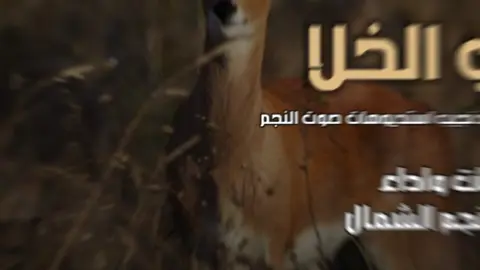 رفيحي ظبي الخلا ... كلمات وأداء نجم الشمال سليم الحويطي 2025 #تبوك_الورد_تبوك_تيماء_ضباء_حقل #حلاوة_اللقاء #في هذا اليوم #تبوك_بارك_مول #الانتشار_السريع 