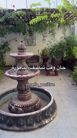 #rosella #rosella_positive #نباتات_غوزيلا #gardening #الزراعة 