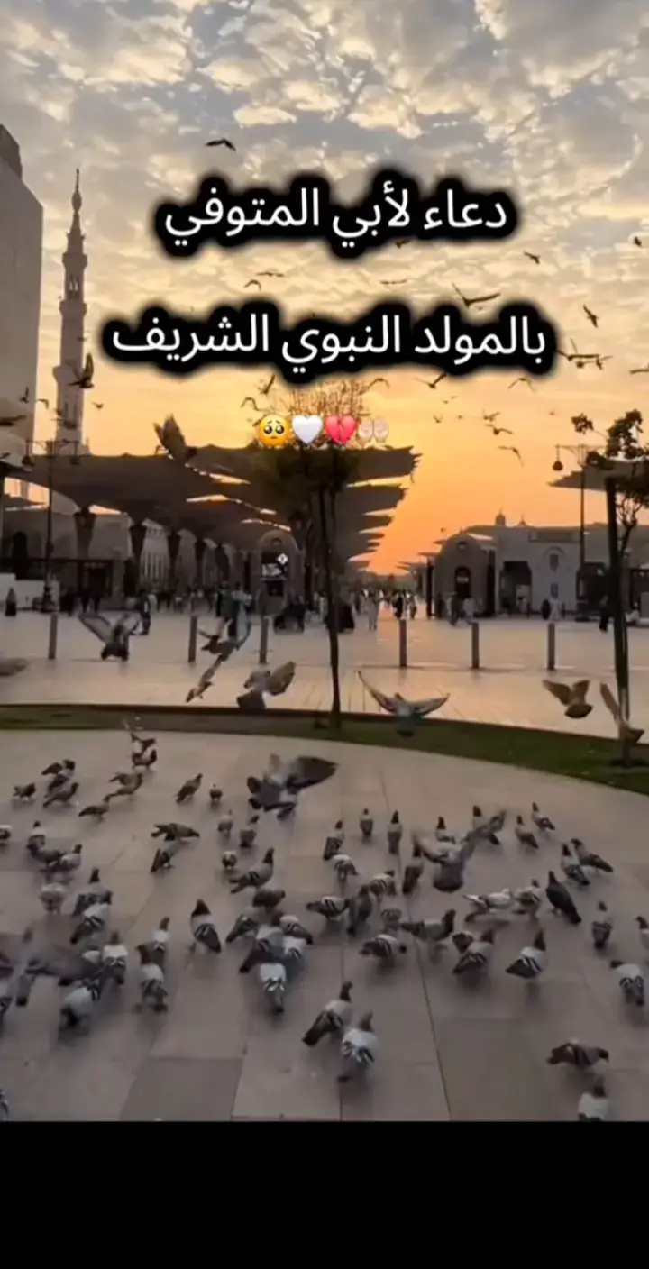 #دعاء لابي المتوفي في المولد النبوي الشريف رحمك الله واسكنك الفردوس الاعلى يارب العالمين 