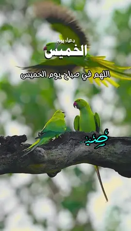 دعاء جميل اللهم اجعل هذا اليوم خير وبركة ويسر لي فيه كل عسير وارزقني فيه من حيث لا أحتسب اللهم إني أعوذ بك من شر ما قضيت وقدرت ومن شر نفسي وهواي اللهم اجعلني من الذاكرين الشاكرين الحامدين واجعلني من المقبولين في هذا اليوم الفضيل