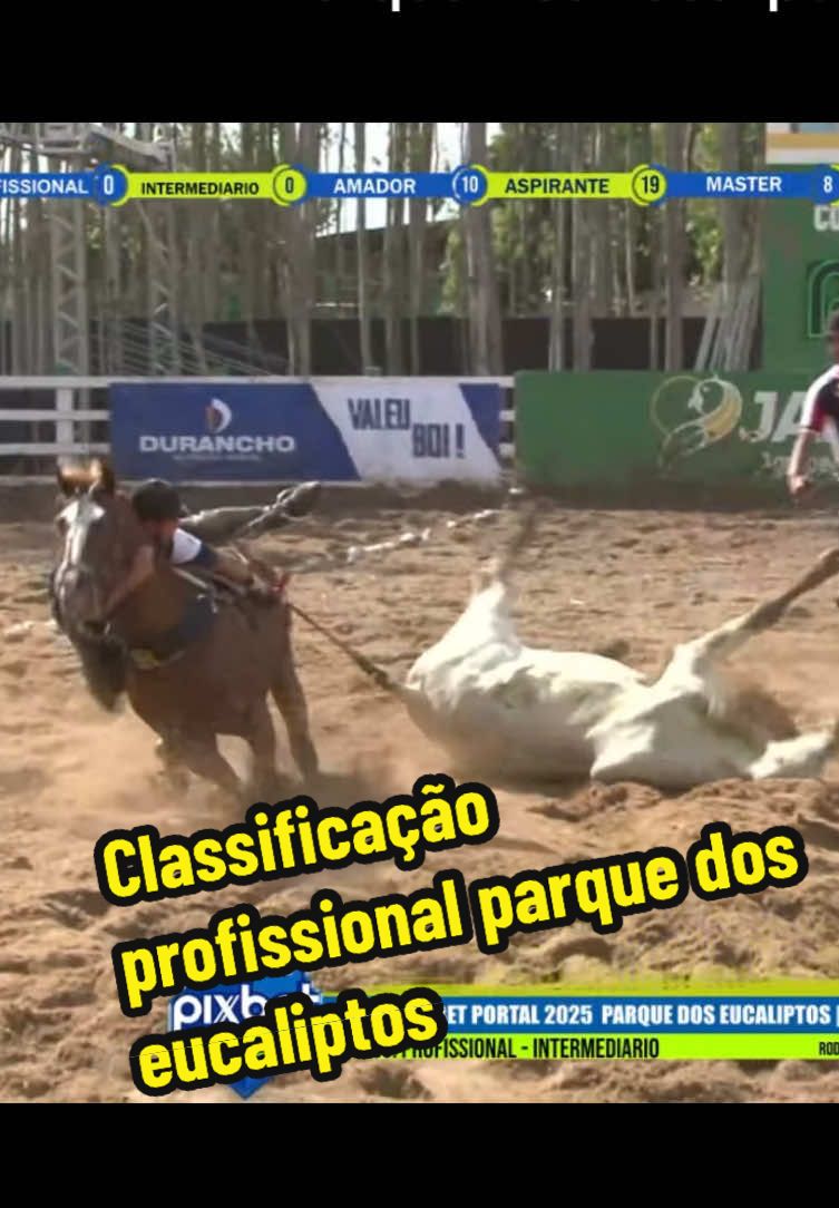 #fyp #vaquejada #vairalvideo 