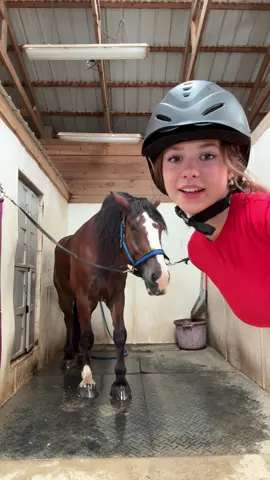 Def not a little pony but a cute guy @Prevail Equestrian 🐎