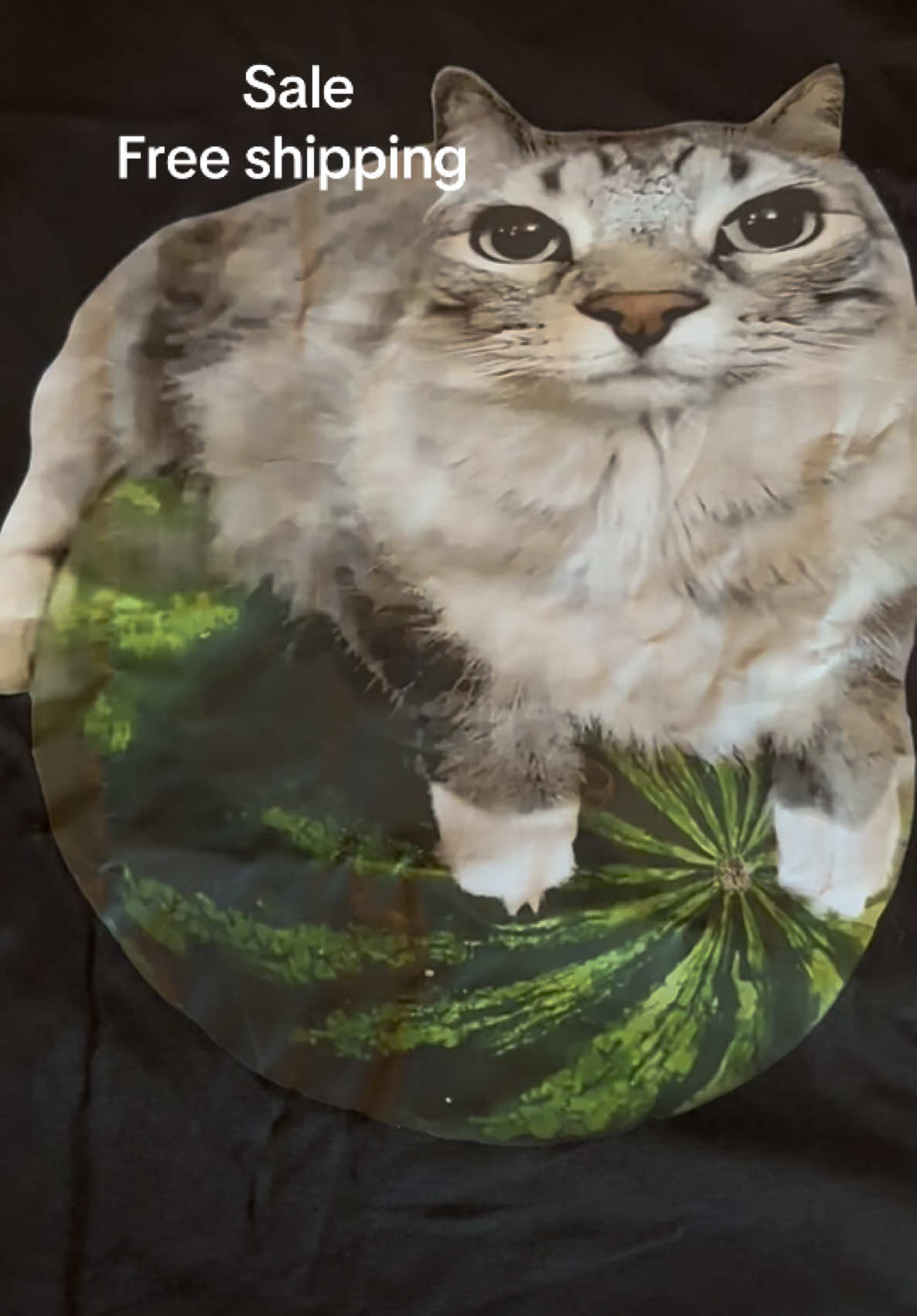 Cat on watermelon shirt #watermeloncat #funnycat #catshirt #catlover #catsoftiktok 