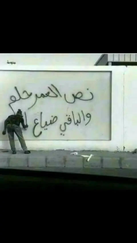 #اكسبلور #تبوك #tiktok #viral #viralvideo 