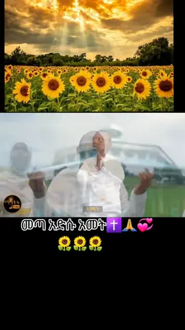 #ኦርቶዶክስ_ተዋህዶ_ፀንታ_ለዘለዓለም_ትኑር #ድንግል_ማርያም_እናቴ #🙏🙏🙏 #LIVEIncentiveProgram #LIVEwithlowfollowers 
