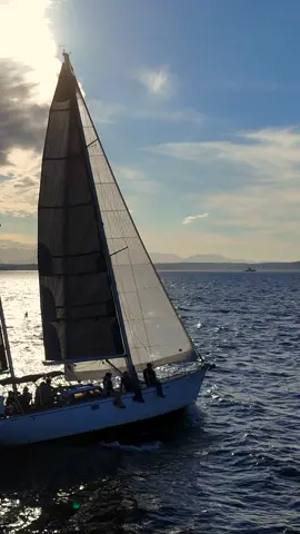 ⛵ Sailing through Seattle on a perfect yacht — calm waters, skyline views, and pure Pacific Northwest beauty. 🌊✨ Seattle’s waterfront never disappoints. Would you take this ride? #Seattle #YachtLife #SailingSeattle #PacificNorthwest