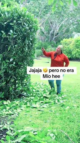 ##fypシ゚viral #chapines502🇬🇹🇬🇹❤ 