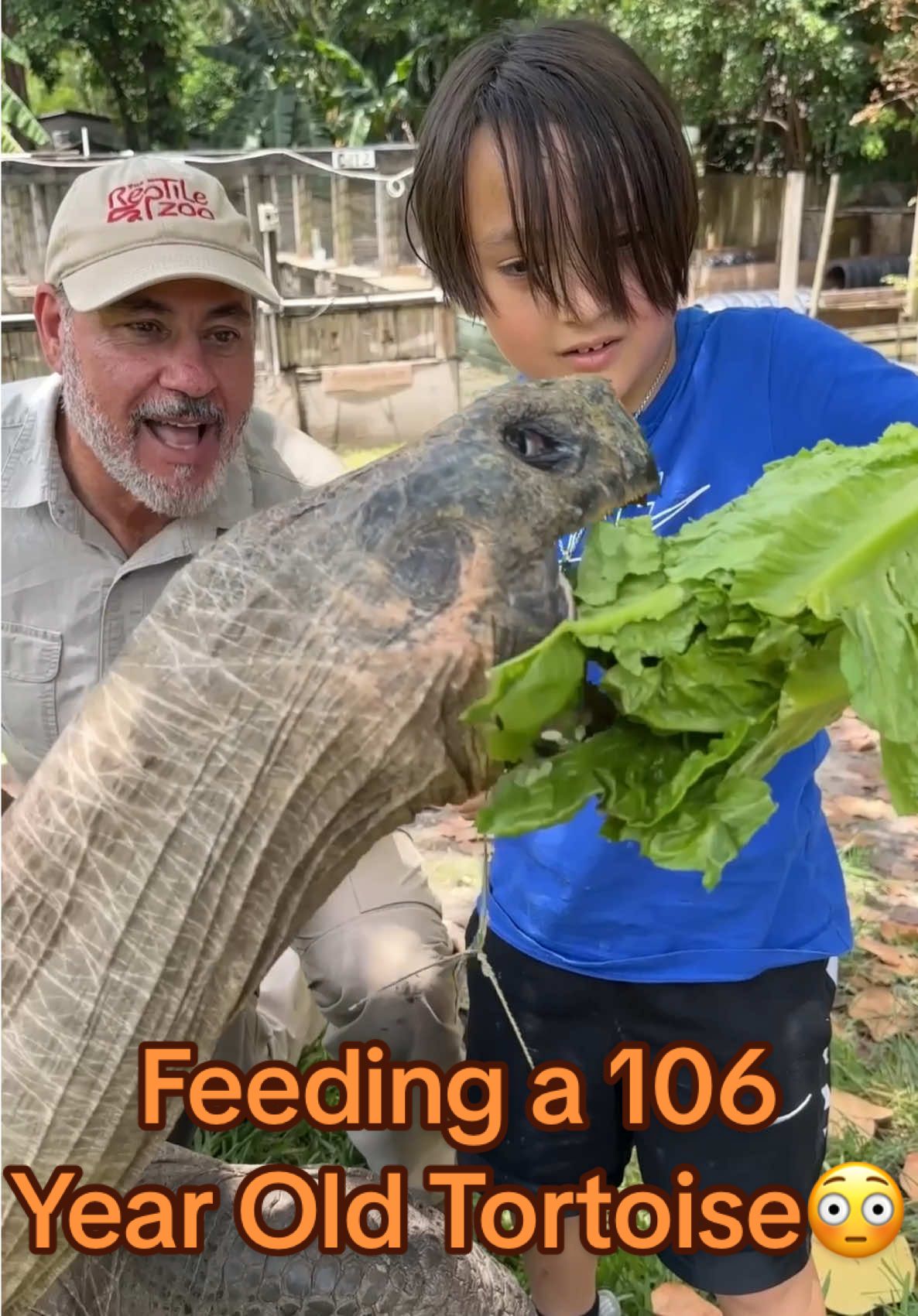 Feeding The Professor a 106-year-old Galápagos Island tortoise🤯🐢This gentle giant is not only massive in size, but absolutely beautiful in every way 😍💚 With over a century of life experience, he moves slow and steady, enjoying every bite while reminding us of the incredible longevity and grace of his species 🌿🍃 Sharing this moment with a Kai made it even more special 🙌✨ These tortoises can live well over 100 years in the wild and some individuals reaching 150+ years! The oldest known lived to be around 177 years😳