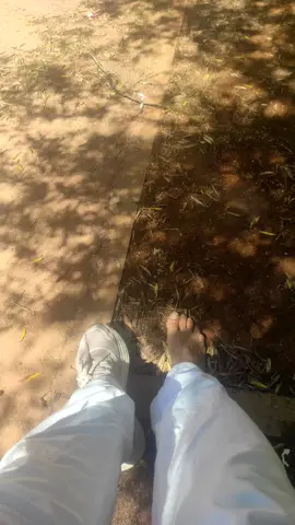 #الراحل #الحسن_التاني 