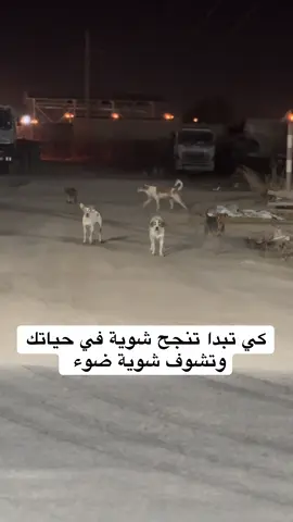 #الشعب_الصيني_ماله_حل😂😂 #غير_تفكيرك_لتتغير_حياتك #motivation #tiktokalgeria #اللهم_صل_وسلم_على_نبينا_محمد 
