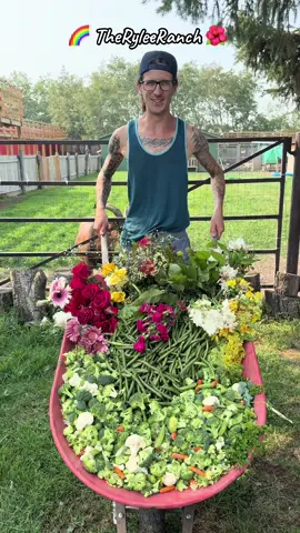 Kalan at The Rylee Ranch: The goats enjoy a wheelbarrow of produce and flowers! #kalanrylee #ryleeranch #goats #asmr #farm