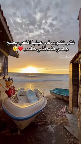 #الشعب_الصيني_ماله_حل😂😂 #الجزائر 