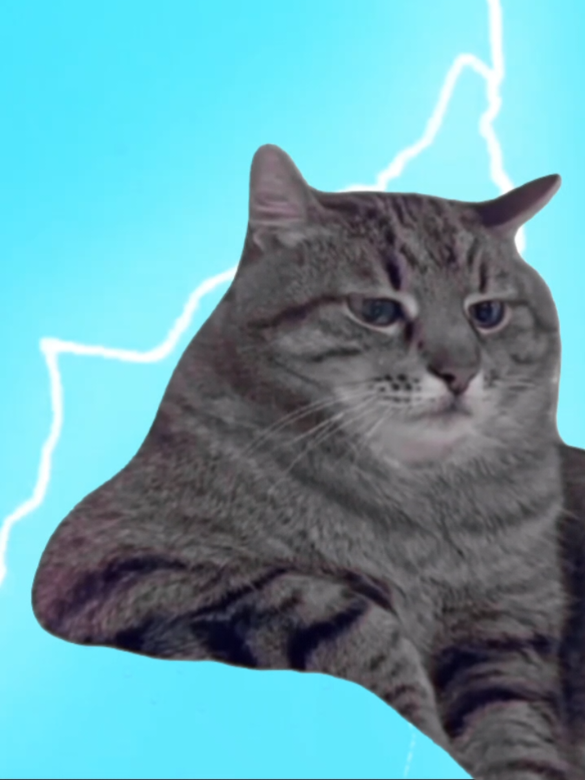 When the world's too loud- That hopeless cat vibe just hit different when Stan starts playing. The gentle female intro setting the mood, then the thunder, the rain effects-this is foundation-level emo and moodcore. It's perfect for those 