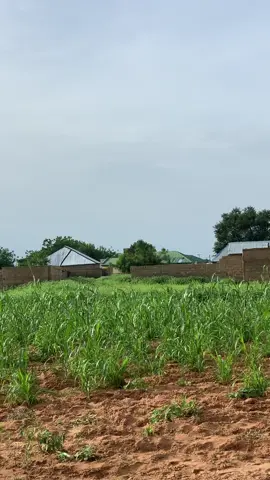 #videoviralitiktok #videoviral @TikTok @Arewa Update 