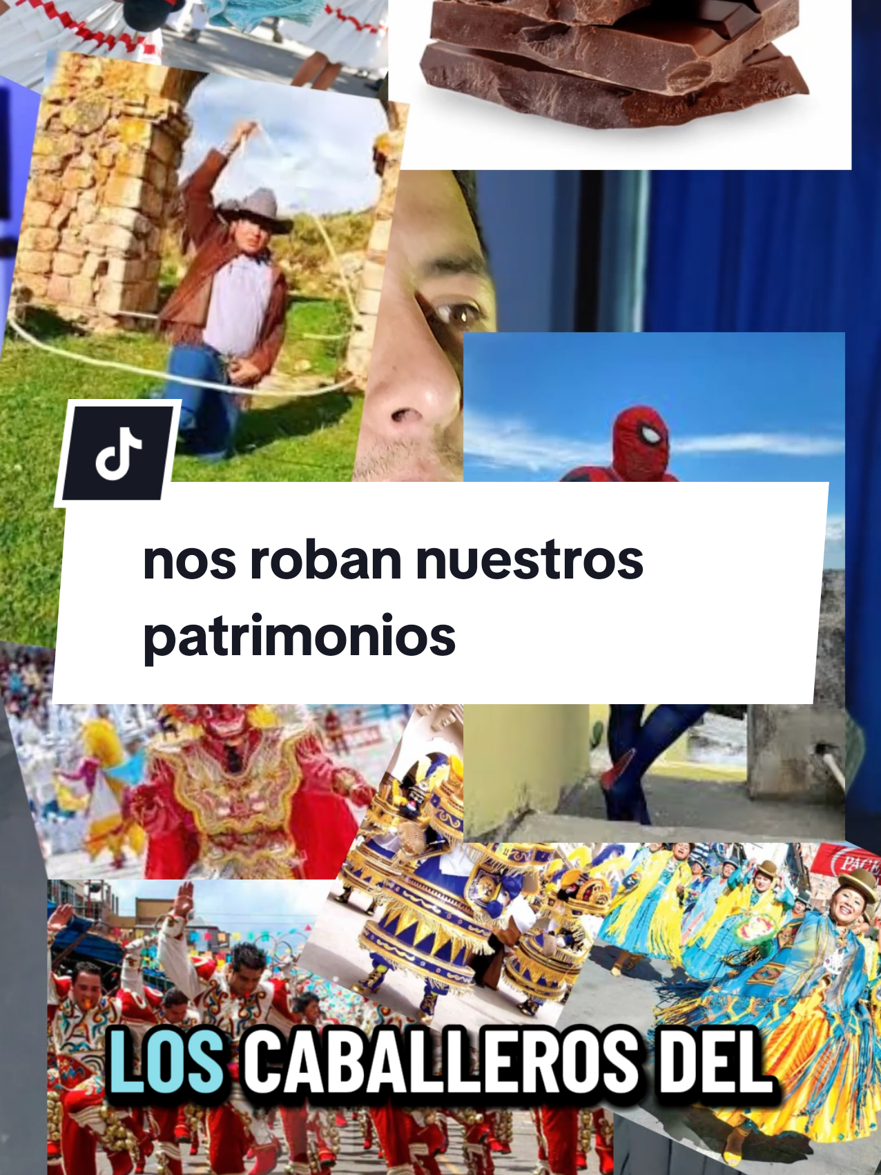 votación ibai, dónde votar mundial de salteña Bolivia, monica ergueta dice, tamaño de miembro, saya no es de Bolivia, cuanta población tiene Perú, Perú,  todo es peruano, tinku do, fertilizar la tierra, deporte nacional, Generar turismo con deporte, mma vs tinku, deporte de contacto, votemos todos por la salteña, 