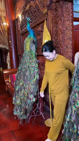 នាងនាង រៀងឈ្លោះគ្នា🤣