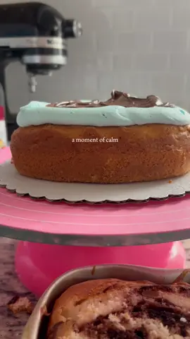 A little cake therapy #orlandobakery#orlandocakes#CapCut  #LIVEIncentiveProgram 