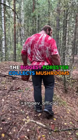 Come to collect mushrooms with me. - Code: SMAEV1 for all @BuckedUp supplements! - #andreysmaev #weightlifting #bodybuilding #GymLife #mushrooms 