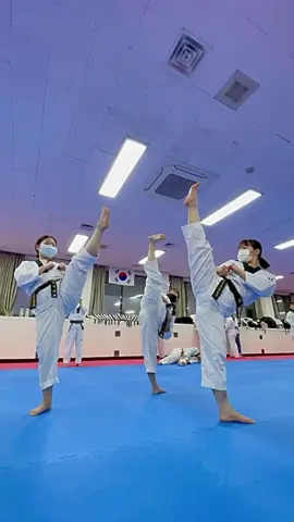 Hashtag this 👊#taekwondo #fyp #creatorsearchinsights #poomsae #training 