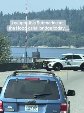 Just one of the most formidable weapons known to man out for a stroll.#Navy #gonavy #military #pnw #bigheavy 