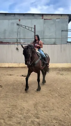 Rocki😮‍💨😮‍💨 #purocaballofino🐎 #parati #caballosbailadores #foryoupage #viral 