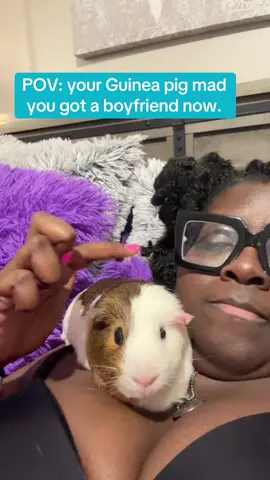 #fyp #foryou #guineapigs #smallpetsoftiktok #guineapigsoftiktok 