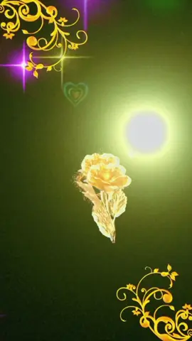 #fyppppppppppppppppppppppp #VoiceEffects #مولد_النبوي_الشريف_مبارك #eidmiladunnabi2025 
