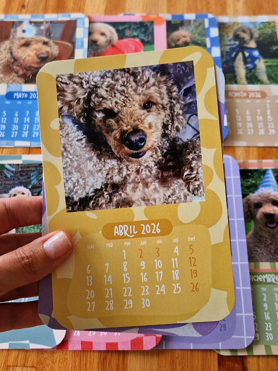Convertí tus fotos favoritas en un calendario único 🌈✨ Calendario mensual POLA 2026 ❤️👉🏼 disponible en mi web y con envíos a todo el país 🇦🇷 #calendarios2026 #regalospersonalizados #fyp #argentina #parati 
