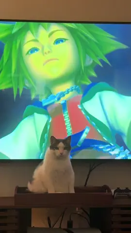 monte feeling simple & clean #kingdomhearts #sora #riku #kairi #catsoftiktok 