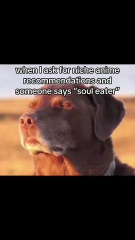 Or any anime popular in the 2000s #anime #animefyp #manga #animerecommendations 