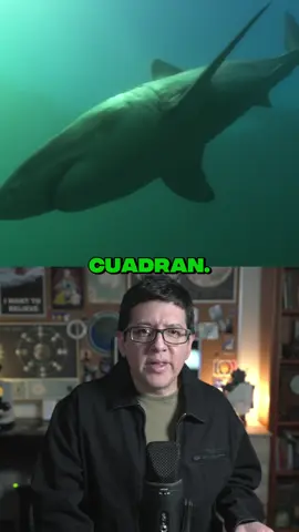El Tiburón Blanco Tiene un ADN Inexplicable 😨 #cienciaentiktok #AprendeEnTikTok #noticias #tiburones 