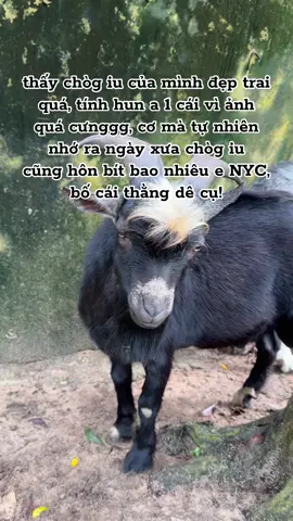 😤😤😤 sao hòy đó k iu mình lun mà iu nyc chi #GreenCreator #VinWonders #dulich #xh #fyp 