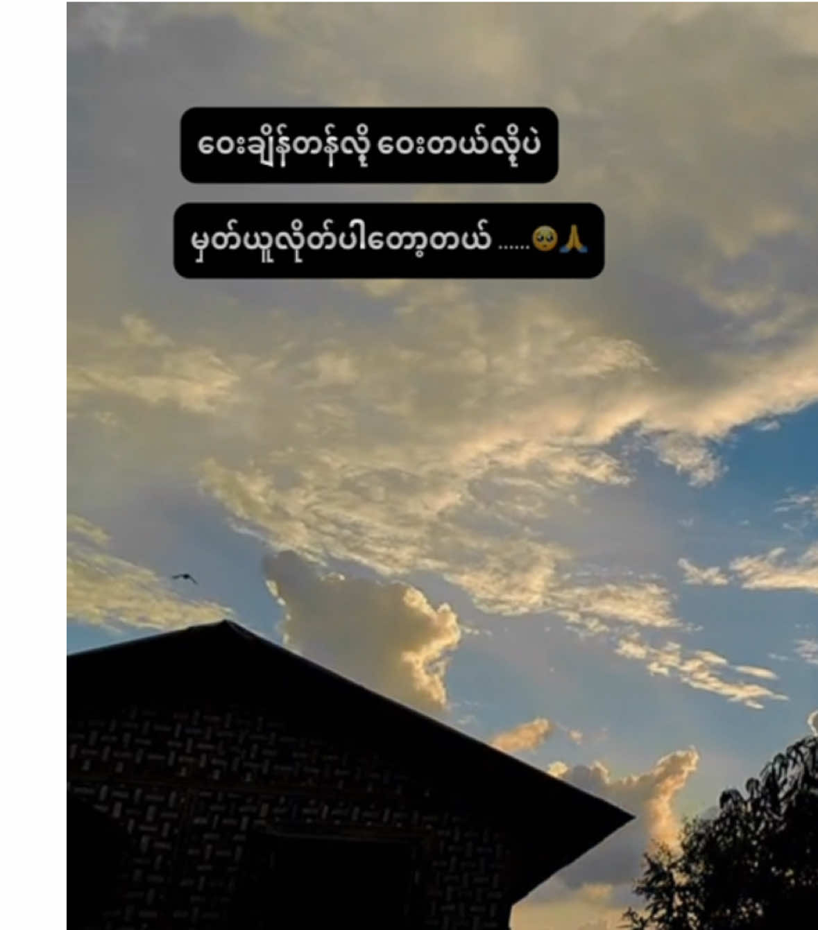 #myanmartiktok #foryou #fyp #🥺🥀 #feelings ဝေးချိန်တန်လို့ ဝေးတယ်လို့ပဲ မှတ်ယူလိုတ်ပါတော့မယ်🥺🙏
