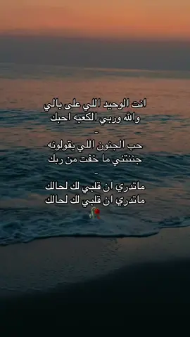 #فلاح_المسردي_#اكسبلور 