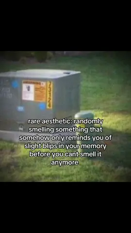 #rareaesthetic #fyp #nostalgia 