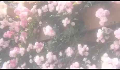 لا تنسون تصلون الفجر ها؟ لان ما بقى شي على الاذن🥹👍🏿🤍،#حملة_بناء_قبر_الامام_الحسن🔥 #لافتى_الاعلي_ولاسيف_الاذو_الفقار #الامام_الحسين_عليه_السلام