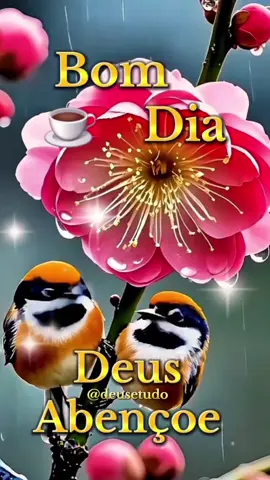 #deusetudo  #deus #motivacional #motivacao  #bomdia 