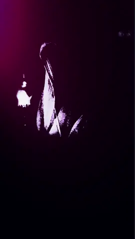 #tiktok #fypシ゚ #ညမဂ်လာ😱😱😱😱😱😱😱 #ဒါတေပဲတက်နေလို့😂😂😍❤️❤️❤️ 