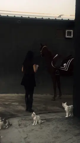 تۆ خۆت بە خەونی هەمووان بە بەڵام چیڕۆڪی ڪەس مەبە🖤.