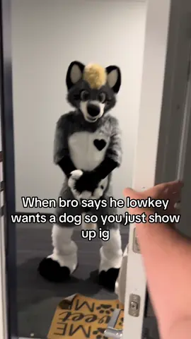 Ts sucks #furry #fursuit #fursuiter #fursuiting #furryfandom 