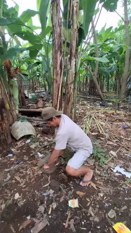 mau ketawa takut dosa video lucu bikin ngakak hiburan warga+62  #viral #trending #tiktok #viralvideo  #funnyvideos 