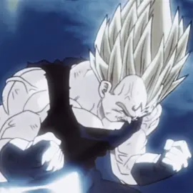 Vegeta the prince of saiyans #vegeta #dbzedit #dbz #majinvegeta #fyp Majin vegeta edit 