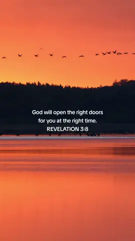 REVELATION 3:8.  #god #bibleverse #bible #viral #fyp 