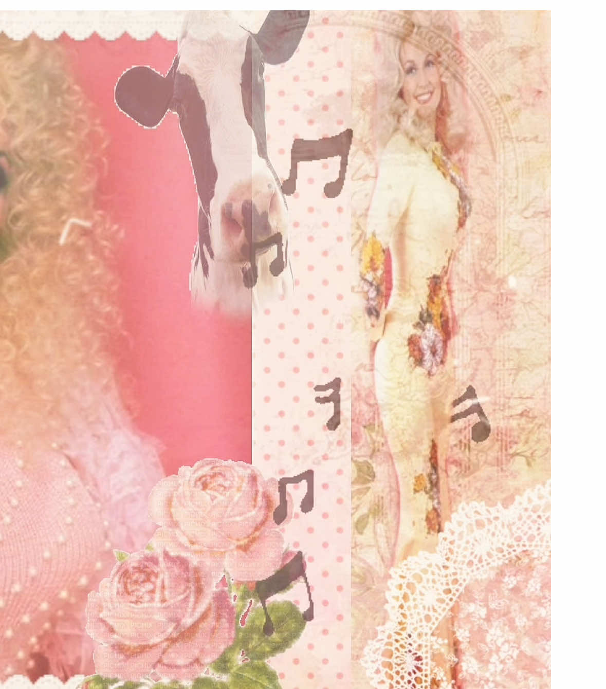DOLLY OMG I LOVE YOUUU #dollyparton #cute#countrygirl#kawaii#moodboardaesthetic 