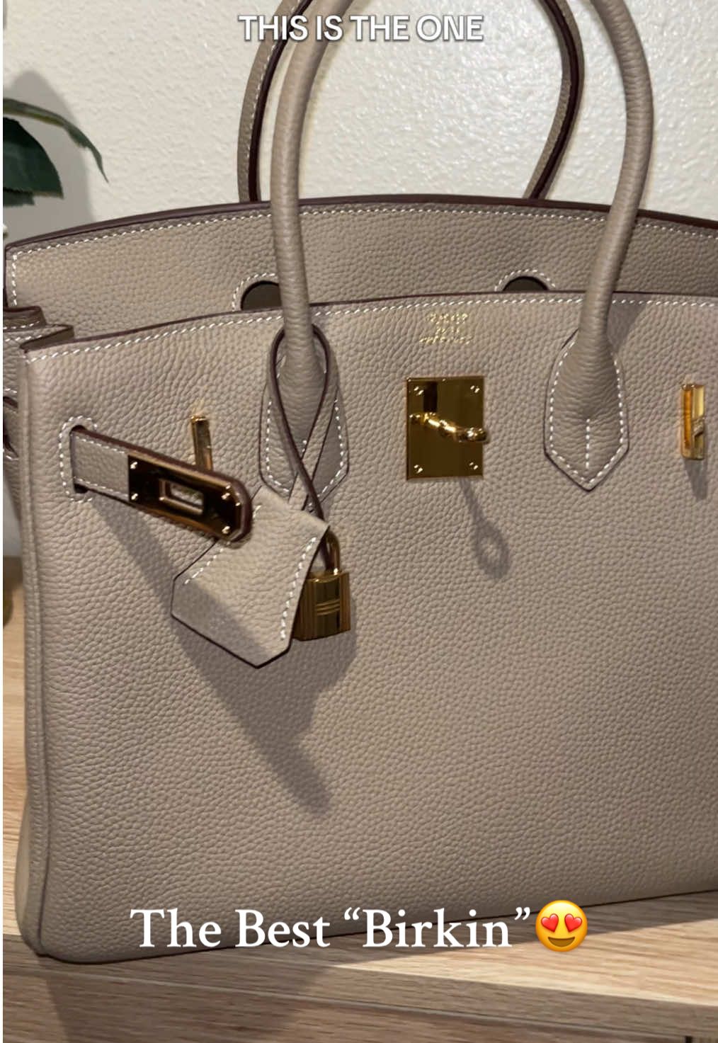 Real luxury without the overpriced tag! 🙌 This is the real deal if you ask me! SHOW ME THE 20k difference??? I’ll wait 😌@Luxury-Haul #luxuryhaul #hermes #birkin #fashioninspo #luxuryfashion 
