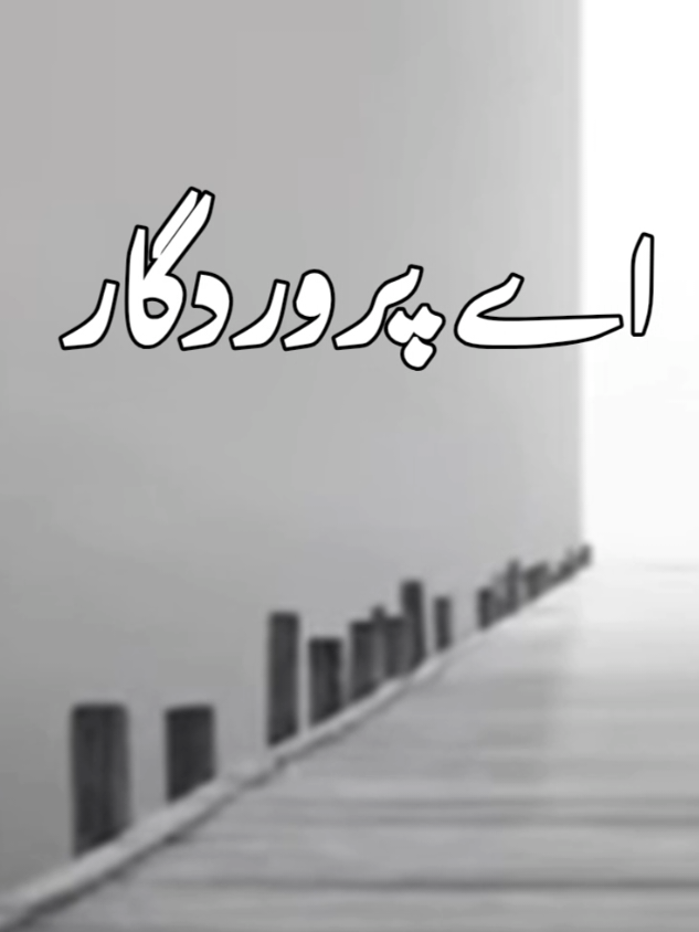 DUA E KUMAIL ❤️ #foryou #duaekumail #islamic #viral 